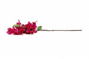 PHOCEALYS│Bougainvillier Artificiel│Grossiste en végétaux artificiels