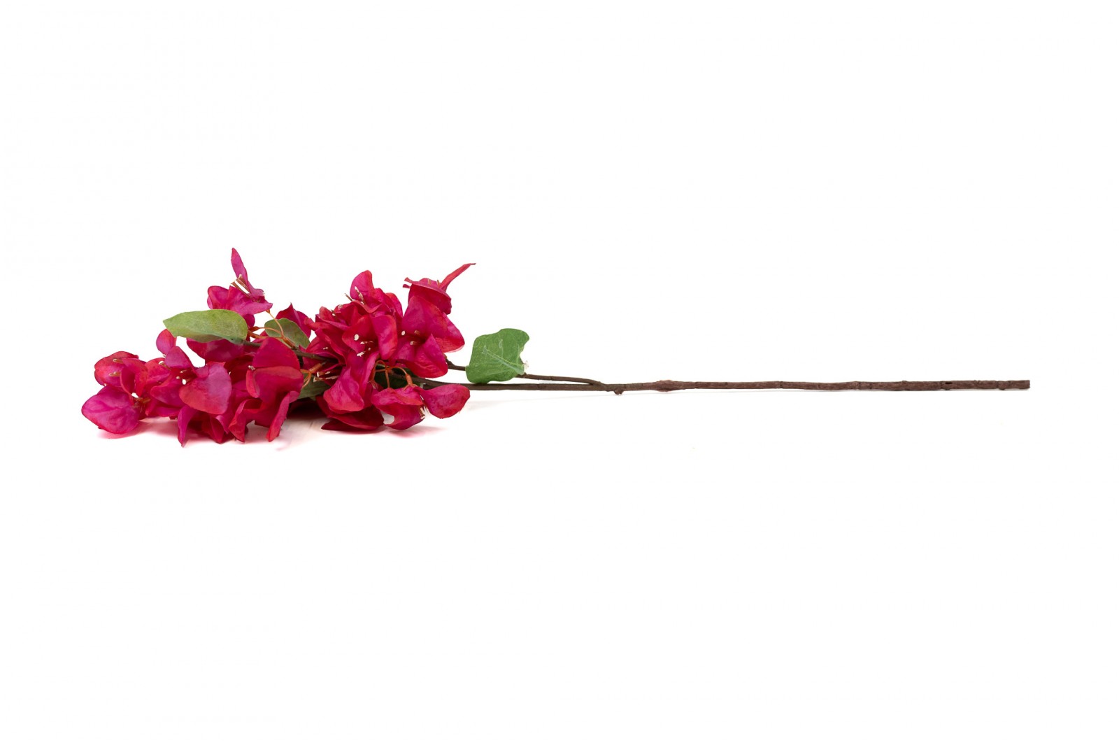 PHOCEALYS│Bougainvillier Artificiel│Grossiste en végétaux artificiels
