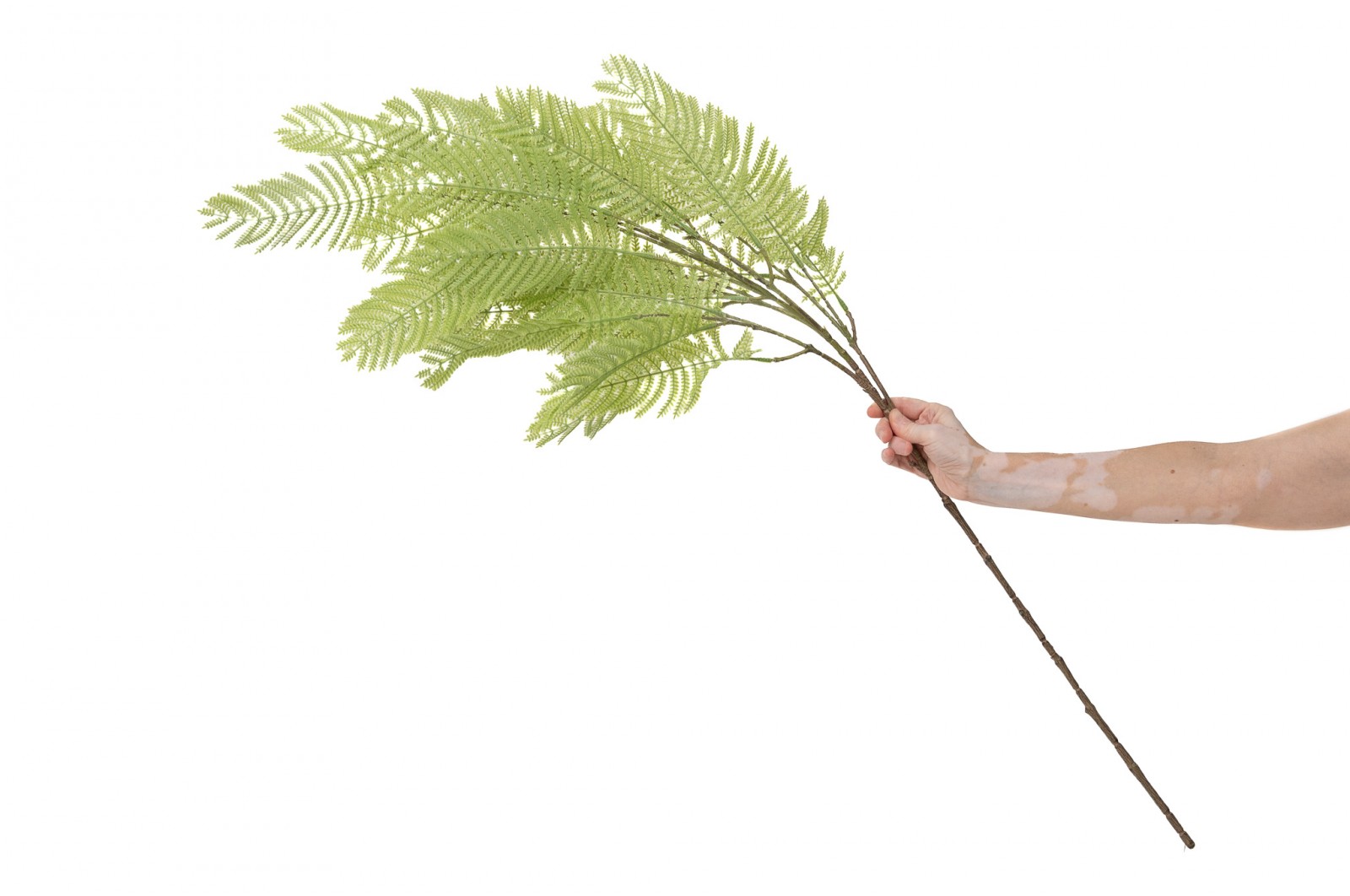 PHOCEALYS│Fougère artificielle│Grossiste végétaux artificiels