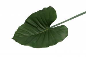 Feuille de nénuphar artificielle - Décoration aquatique réaliste | Phocealys
