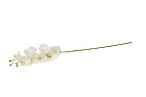 PHOCEALYS│Orchidée artificielle│vente aux pros│Grossiste en végétaux artificiels