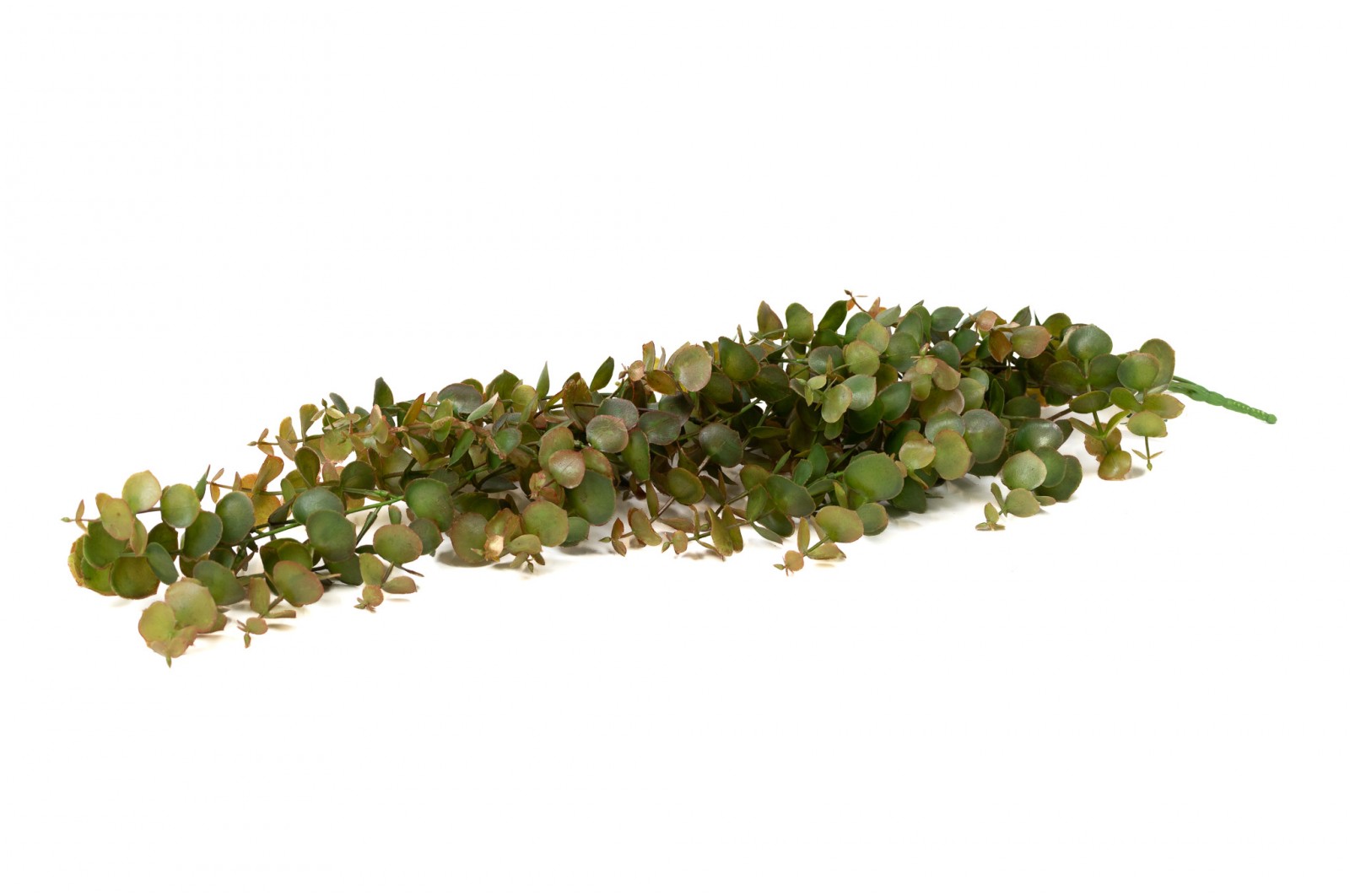 Chute d’eucalyptus artificiel | Phocealys grossiste | Prix compétitifs