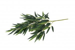 Tige de bambou artificiel – Phocealys | Grossiste déco végétale