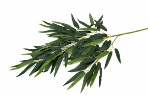 Tige de bambou artificiel – Phocealys | Grossiste déco végétale