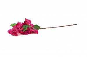 PHOCEALYS│Bougainvillier Artificiel│Grossiste en végétaux artificiels