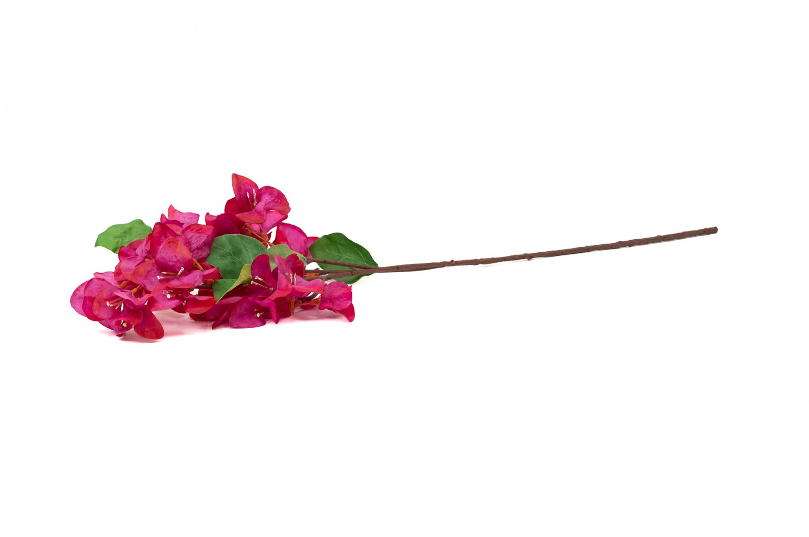 PHOCEALYS│Bougainvillier Artificiel│Grossiste en végétaux artificiels