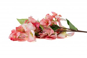 PHOCEALYS│Bougainvillier Artificiel│Grossiste en végétaux artificiels