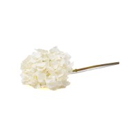 PHOCEALYS│Hortensia Artificiel│Grossiste en végétaux artificiels