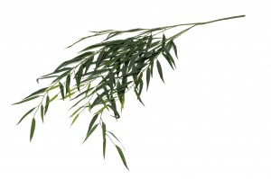 PHOCEALYS│Saule artificiel│Grossiste décoration végétale| Prix de gros