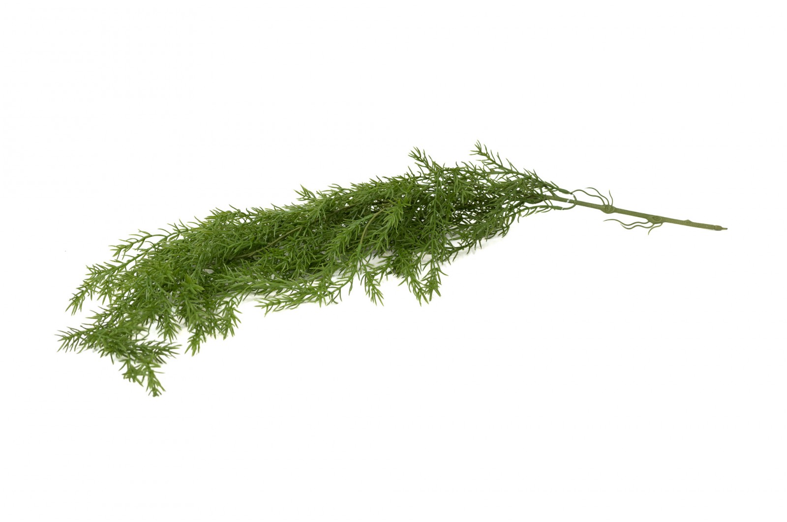 Chute d’asparagus artificiel | Phocealys Grossiste | Prix compétitifs