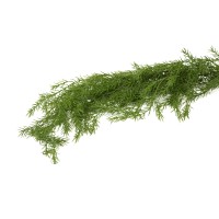 Chute d’asparagus artificiel | Phocealys Grossiste | Prix compétitifs