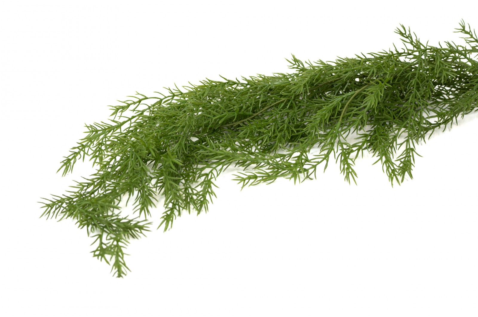 Chute d’asparagus artificiel | Phocealys Grossiste | Prix compétitifs