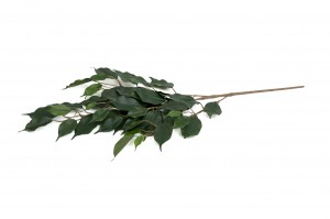 Tige de ficus exotica artificiel - Feuillage tropical | Phocealys