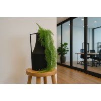 Chute asparagus artificiel mini |Phocealys Grossiste|Choix & Qualité pro