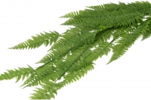 PHOCEALYS│Fougère large artificielle chute│vente aux pros│Grossiste