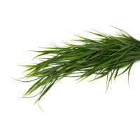 Chute de bambou artificiel – Phocealys Grossiste | Choix & Qualité