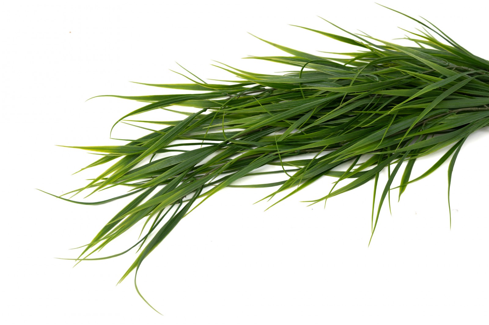 Chute de bambou artificiel – Phocealys Grossiste | Choix & Qualité