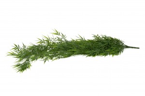 Chute de bambou mini artificiel | Phocealys Grossiste Déco végétale