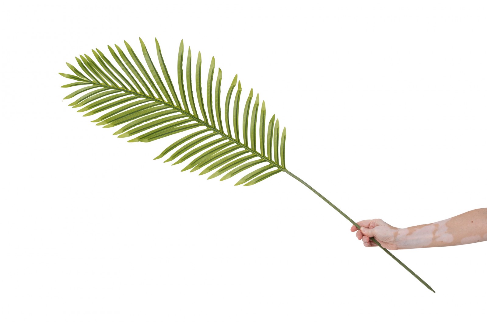 PHOCEALYS│Feuille de Palme Phoenix artificielle│vente aux pros