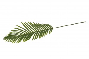 PHOCEALYS│Feuille de Palme Phoenix artificielle│vente aux pros