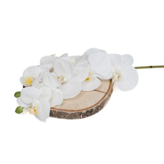 PHOCEALYS│ Künstliche Orchidee│Großhandel mit künstliche Pflanzen