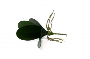 Feuilles de Phalaenopsis artificielle - Phocealys Grossiste