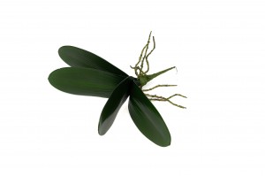 Feuilles de Phalaenopsis artificielle - Phocealys Grossiste