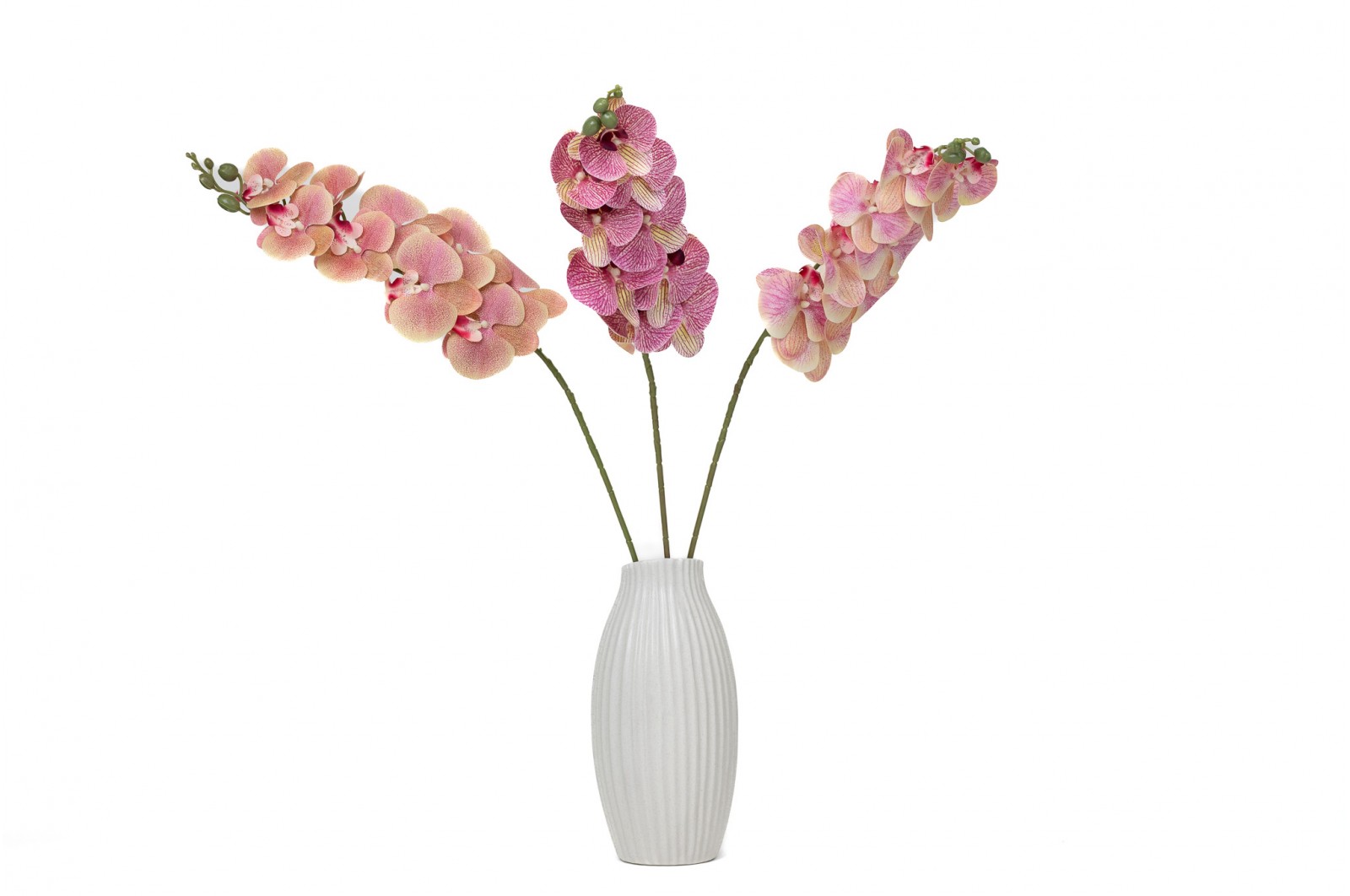 PHOCEALYS│Orchidée artificielle│vente aux pros│Grossiste en végétaux artificiels