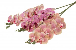PHOCEALYS│Orchidée artificielle│vente aux pros│Grossiste en végétaux artificiels