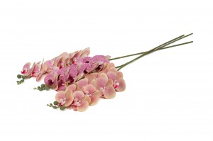 PHOCEALYS│Orchidée artificielle│vente aux pros│Grossiste en végétaux artificiels