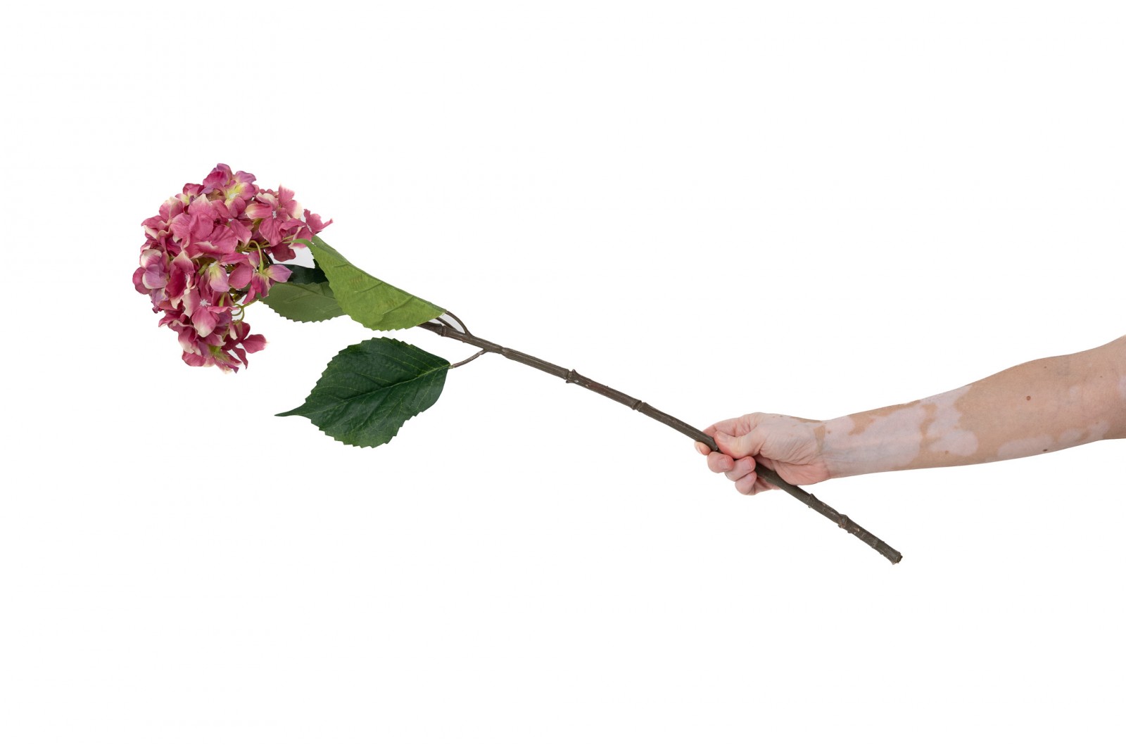PHOCEALYS│Hortensia Artificiel│Grossiste en végétaux artificiels
