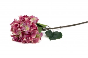 PHOCEALYS│Hortensia Artificiel│Grossiste en végétaux artificiels