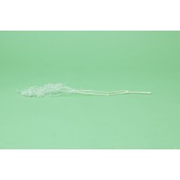 PHOCEALYS │Gypsophile stabilisé│vente aux pros│Grossiste