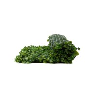 PHOCEALYS│Panneau Ficus artificiel│Grossiste en végétaux artificiels