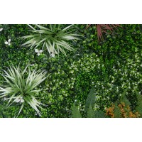 PHOCEALYS│Panneaux végétaux artificiels│vente aux pros│Grossiste