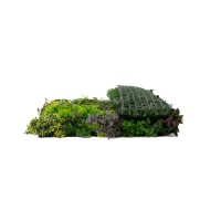 PHOCEALYS│Panneaux végétaux artificiels│vente aux pros│Grossiste