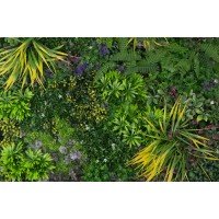 PHOCEALYS│Panneaux végétaux artificiels│vente aux pros│Grossiste