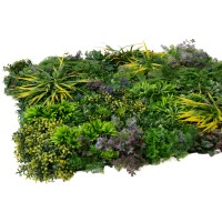 PHOCEALYS│Panneaux végétaux artificiels│vente aux pros│Grossiste