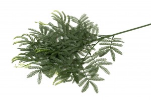 PHOCEALYS│Mimosa Artificiel│Grossiste en végétaux artificiels