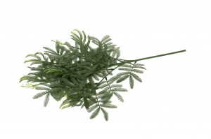 PHOCEALYS│Mimosa Artificiel│Grossiste en végétaux artificiels
