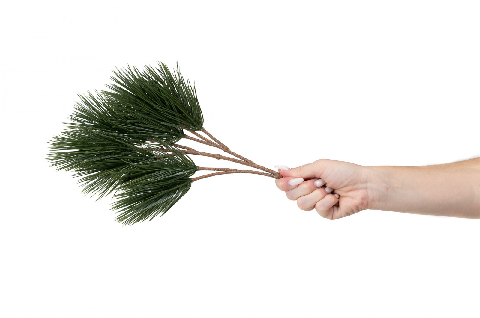 PHOCEALYS│Pin Artificiel│vente aux pros│Grossiste en végétaux artificiels