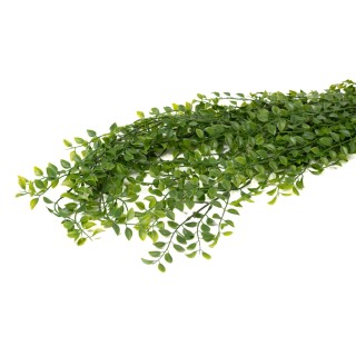 Artificial Callisia Vine - Phocealys Wholesaler artificial plants