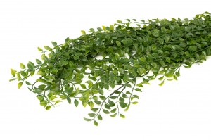 Chute de Callisia artificielle - Phocealys Grossiste végétaux artificiels