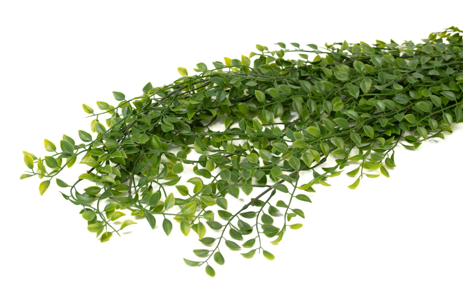 Chute de Callisia artificielle - Phocealys Grossiste végétaux artificiels