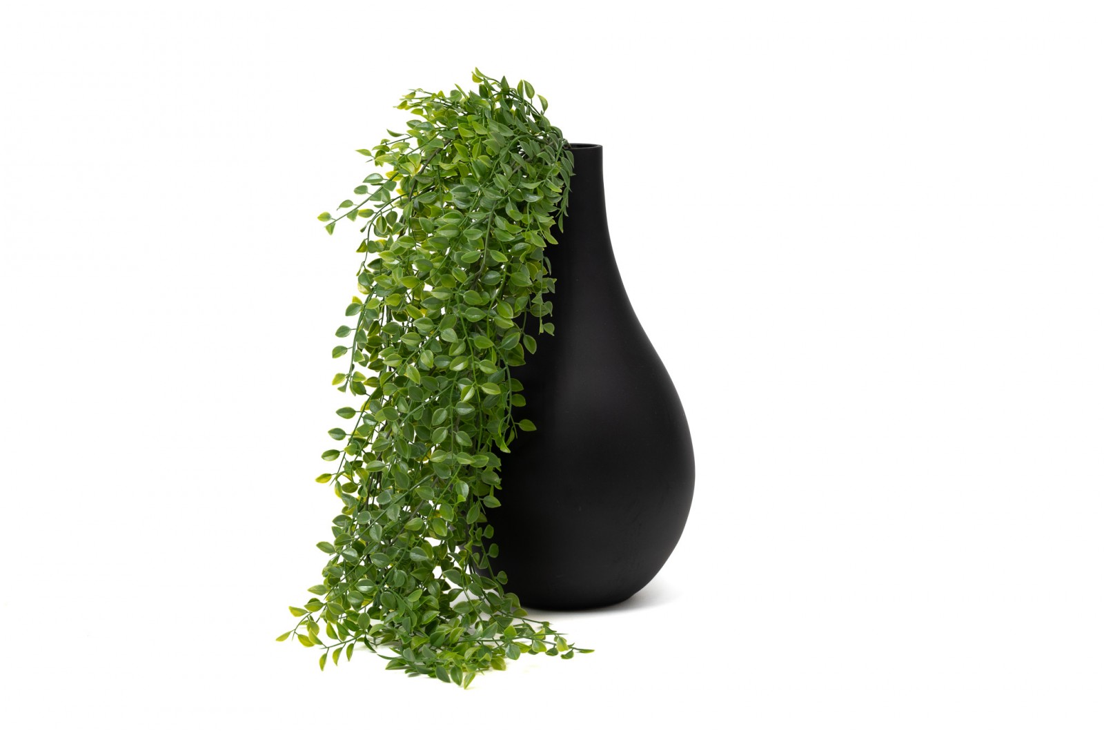 Chute de Callisia artificielle - Phocealys Grossiste végétaux artificiels