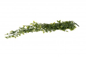 Chute de Tradescantia artificielle - Phocealys Grossiste végétaux artificiels