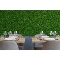 PHOCEALYS│Panneau Ficus artificiel│Grossiste en végétaux artificiels