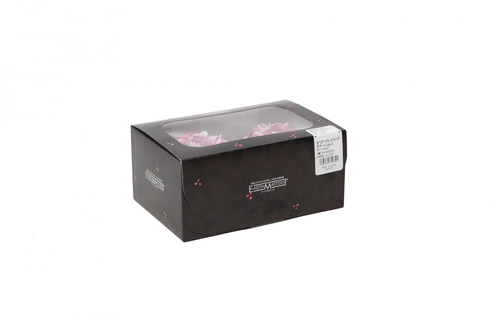 PHOCEALYS│Dahlia stabilisé│vente aux pros│Grossiste