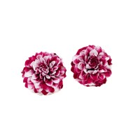 PHOCEALYS│Dahlia stabilisé│vente aux pros│Grossiste