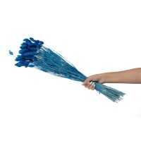 Phalaris sec│vente aux pros│Grossiste en fleurs séchées